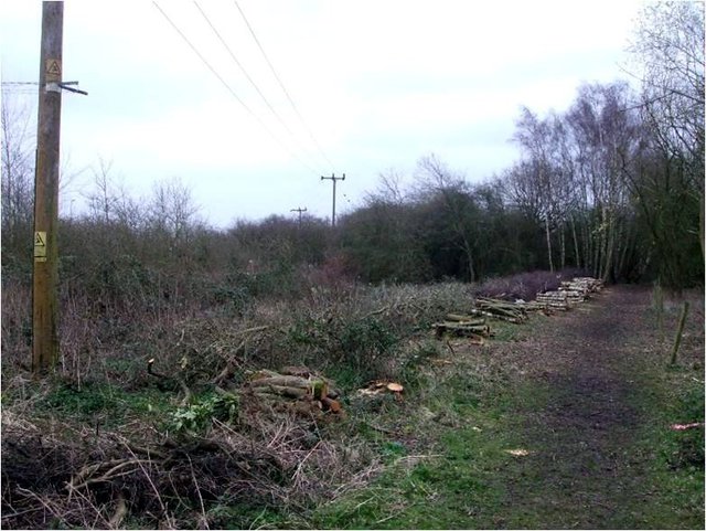 Northampton 2014 cleared trees