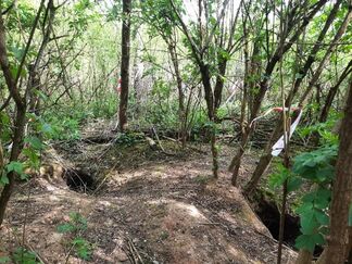 Badger sett warwickshire