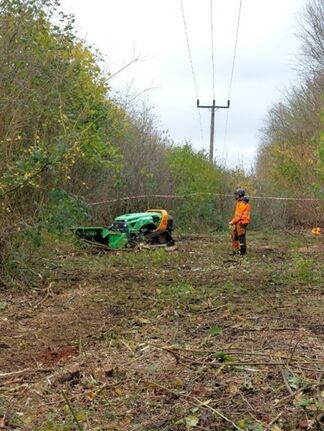 Mulching around badger sett buffer zone