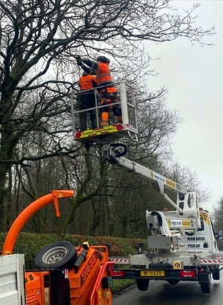 Hand-pruning-bat roost-mewp-gretna