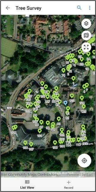 Mapping of trees for a health and condition survey carried out at a school in lincoln