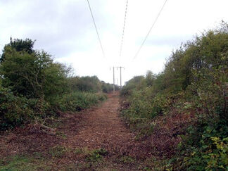 Mulching-of-power-lines-nottinghamshire-country park