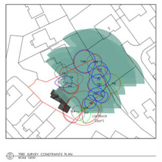 example-tree-constraints-plan-conservation-area-mansfield.jpg