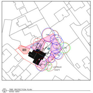 example-tree-protection-plans-conservation-area-mansfield.jpg