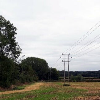 storm-resilience-tree-clearance-work-loughborough-important-circuit.jpg