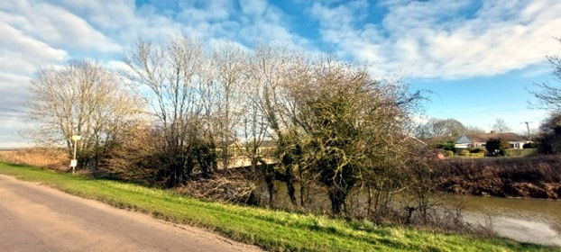 Trees-next-to-footbridge-identifed-hazardous